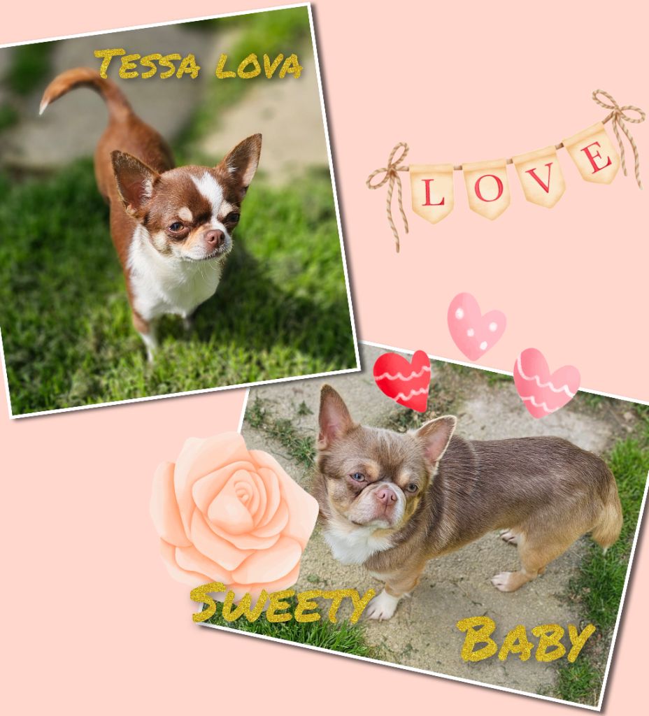 Tessa lova et Sweety baby 